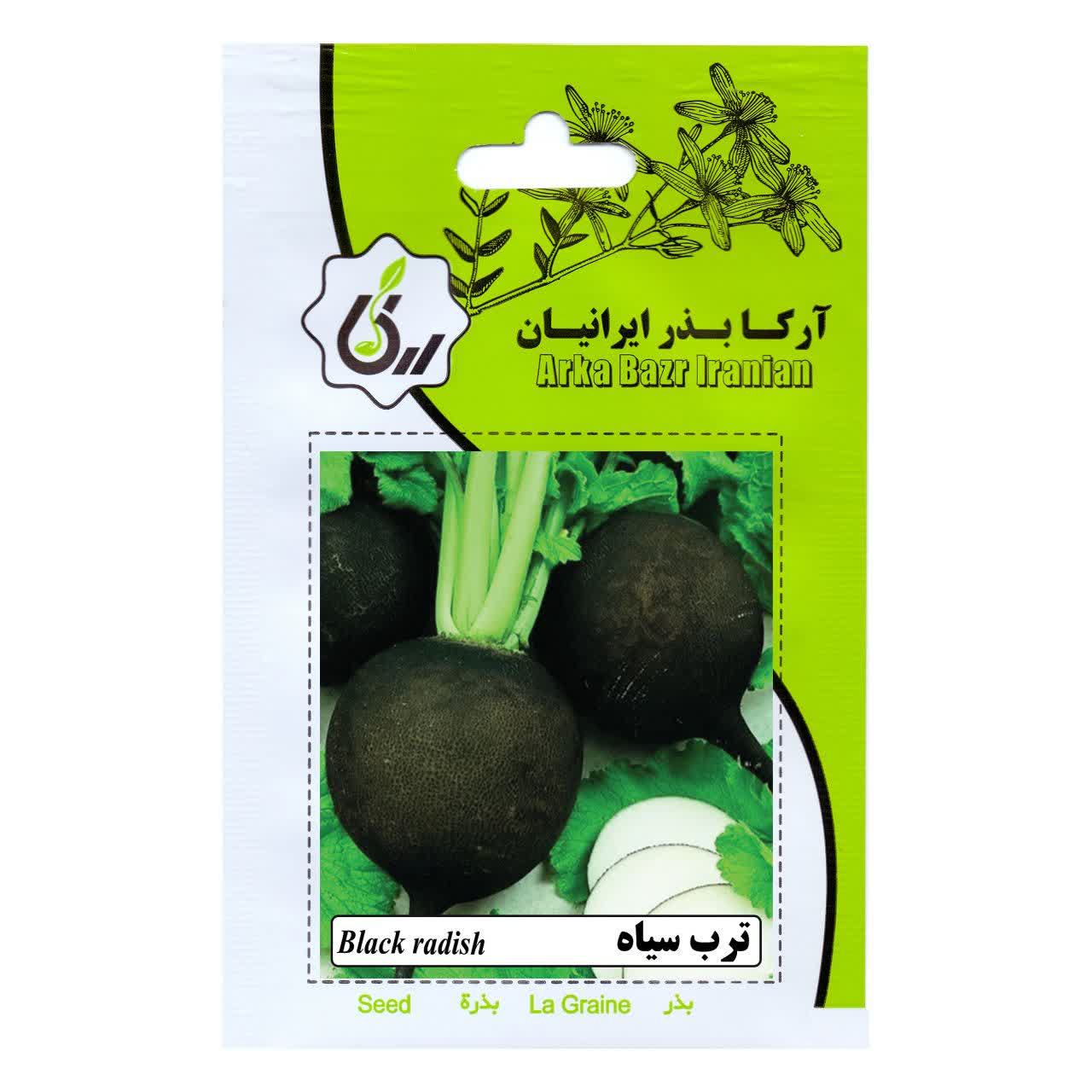 بذر ترب سیاه